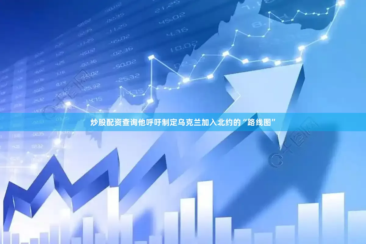 炒股配资查询他呼吁制定乌克兰加入北约的“路线图”