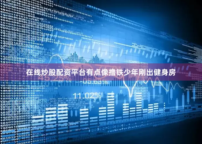 在线炒股配资平台有点像撸铁少年刚出健身房